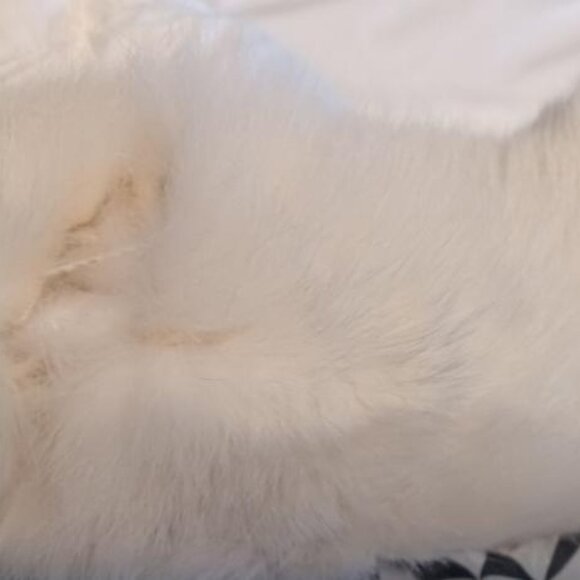 Utex Design White Down Puffer Coat w/ Fur Trim - Picture 8 of 8